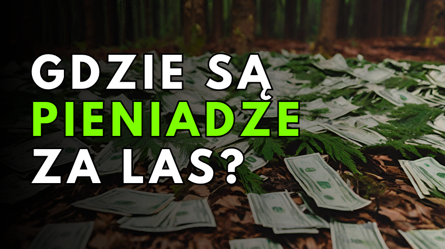 Gdzie są pieniądze za las? O co chodzi w kultowej rozmowie?