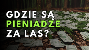 Gdzie są pieniądze za las? O co chodzi w kultowej rozmowie?